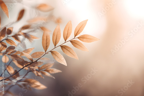 gentle blurred leaves in warm sunlight forming an airy minimal background with a soft wellness glow