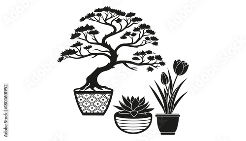 Black and white vector illustration of bonsai and potted plants