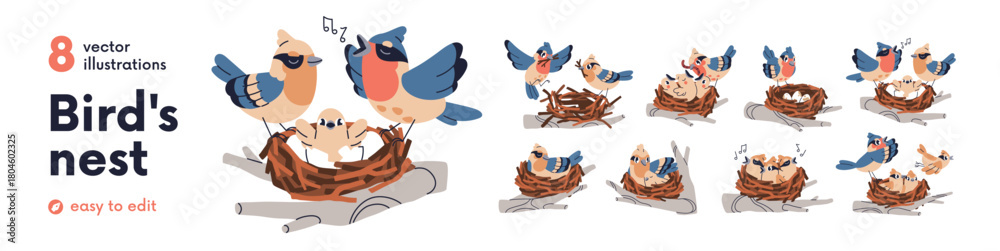 Naklejka premium Birds family set. Nesting, building twig house, singing spring songs, feeding with worm and caring for chicks, brood, nurturing offsprings. Flat vector illustration isolated on white background.