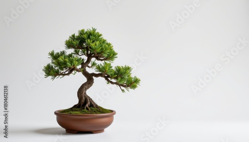 Serene Bonsai Tree in Minimalist Pot with Green Leaves and Curved Trunk for Tranquil Home or Office Decoration