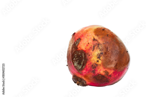 The texture of mold on a spoiled pomegranate. Half a pomegranate with mold on a white background. Mold and mildew spores on fruits. Isolated. Square framing