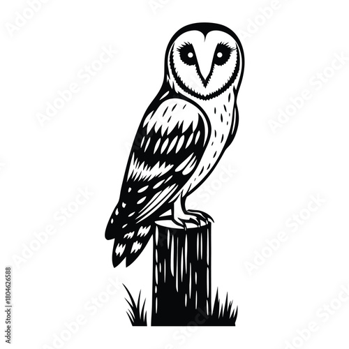 Detailed illustration of a barn owl perched on a wooden post