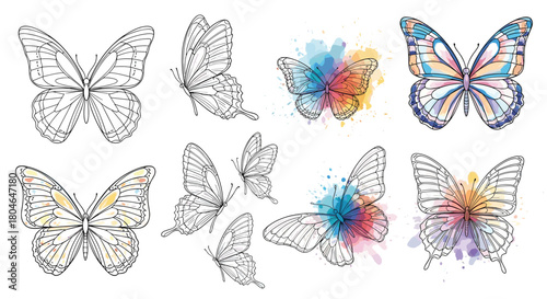 Artistic collection of beautiful butterflies combining detailed line art with vibrant and colorful abstract watercolor splashes.
