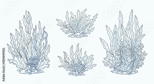 Set of four beautiful underwater seaweed and algae compositions in shades of blue with a delicate hand-drawn line style.