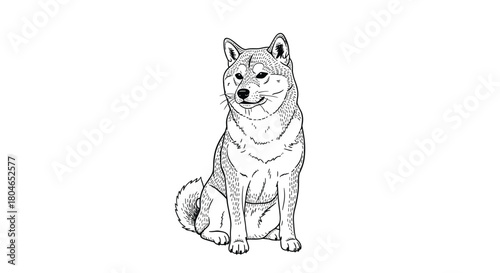 Detailed black and white line art illustration of a cute Shiba Inu dog sitting patiently isolated on a white background.