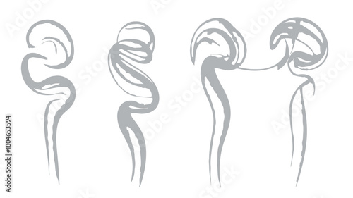 Set of smoke trails abstract vector illustration of steam isolated on white background