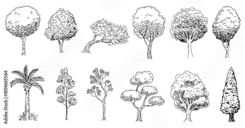 Architecture minimal style cad tree line drawing set featuring side view outline symbols, simple graphic tree elements for landscape design and architectural drafting projects.