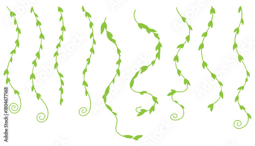 Green leaf vine vector graphic design elements illustration