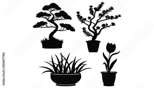 Black and white potted plants vector illustration design