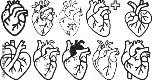Anatomical heart icon set.Human anatomy internal organ set with brain lung intestine heart kidney liver and stomatch.Healthy Cardiovascular Organ Symbol Collection on White Background and red.