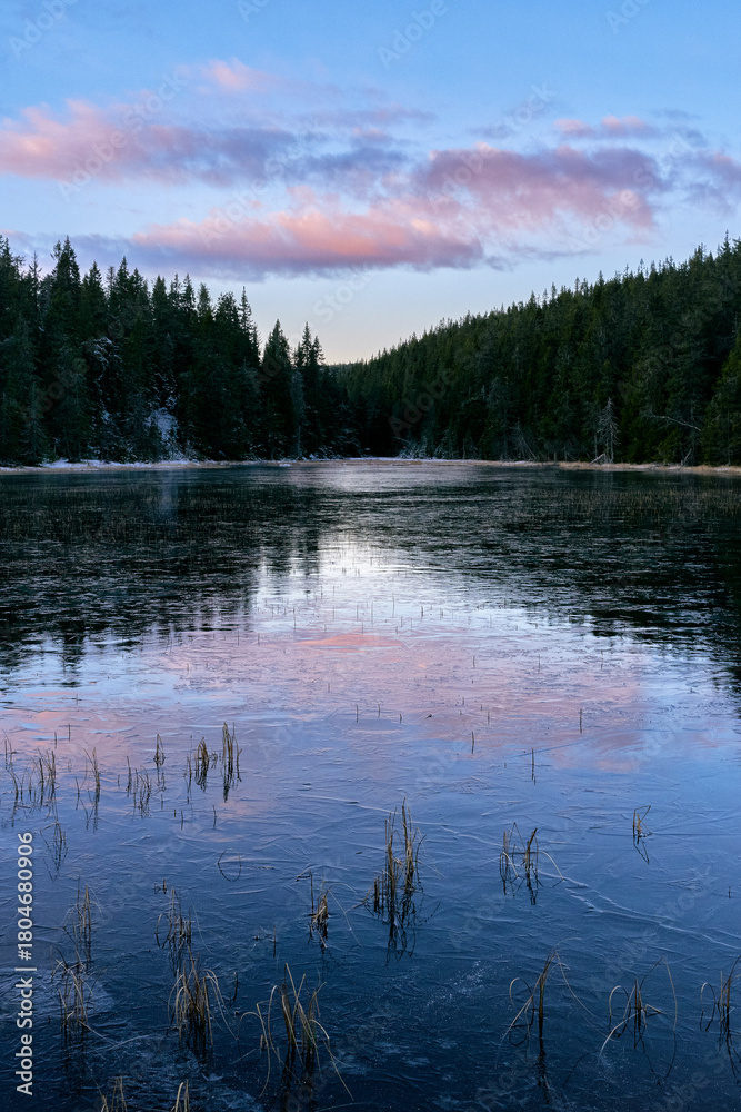 Fototapeta premium By the Southern Svartdalstjern Lake of the Svartdalstjerna Nature Reserve of the Totenåsen Hills, Norway, November 2025.