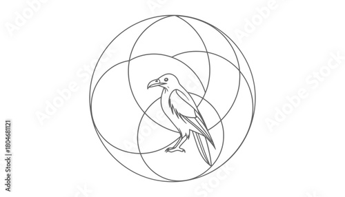 Line art of a raven inside intersecting circles on a white background