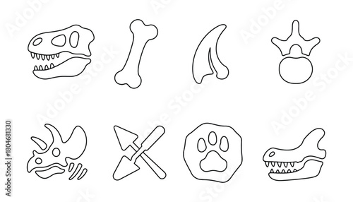 Dinosaur bones and fossils line art illustration on white background