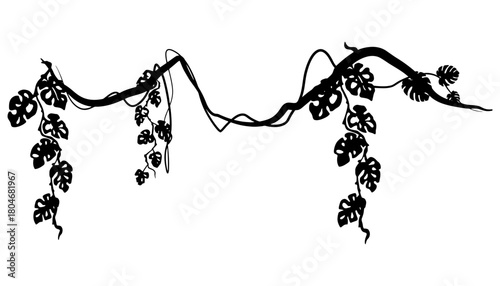 Silhouette illustration of hanging vines and leaves on white background