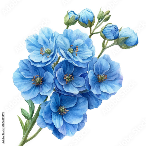 Delphinium Flower, watercolor drawing vector, isolated on a white background.
