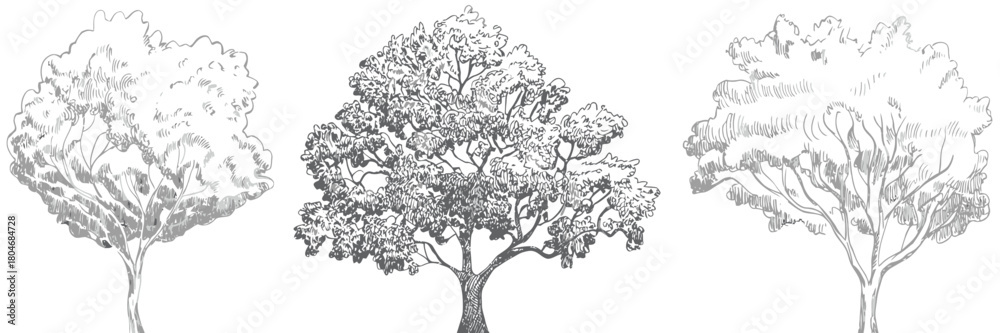 Fototapeta premium Set of trees in cad line drawings for landscape and building design,