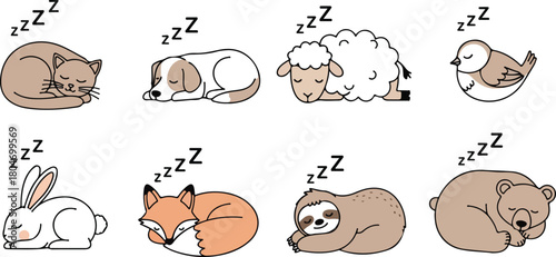 Collection of cute sleeping animals including a cat dog sheep bird rabbit fox sloth and bear.