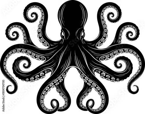 Octopus illustration, black and white tentacles, marine animal art, swirling suction cups, ocean creature drawing, symmetrical design, sea life graphic, detailed ink sketch