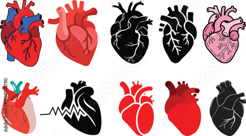 Anatomical heart icon set.Human anatomy internal organ set with brain lung intestine heart kidney liver and stomatch.Healthy Cardiovascular Organ Symbol Collection on White Background and red.