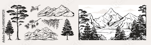 Colorado mountains. Rock range. Wild forest trees. Vintage line snow camp scene or wilderness redwood tattoo. Nature panorama drawing. Woodland landscape. Vector sketch elements set