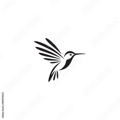 Colorful Hummingbird Vector Logo