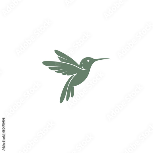 Colorful Hummingbird Vector Logo