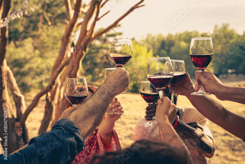 Tablou pe pânză People toasting wine glasses at outdoor celebration event together