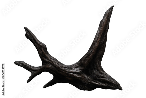 Gnarled dark wood providing organic texture and natural element for aquascape or decorative design on a transparent background