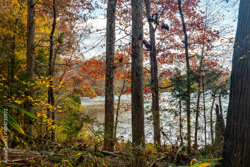 Fall Nature Scene with Colorful Trees and a Lake