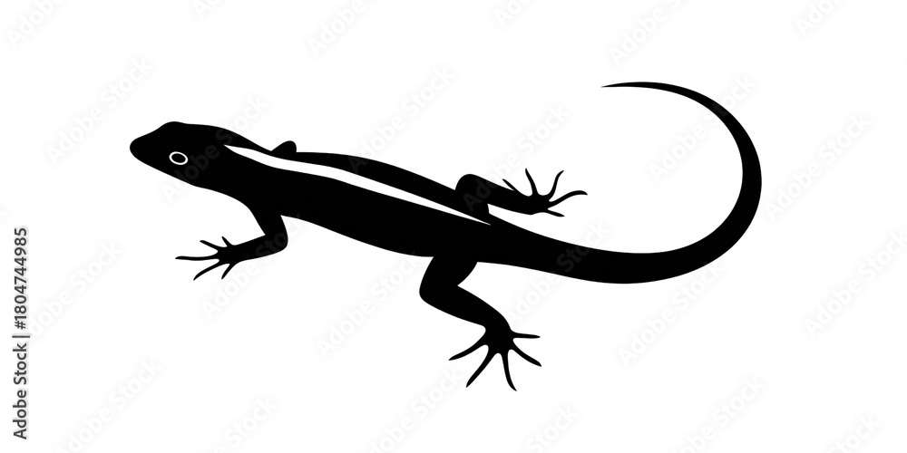 Fototapeta premium Silhouette of a lizard with a curved tail, isolated on black background Concept of wildlife, nature, and reptile