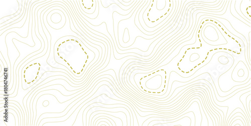 Topographic map background. Geographic line map with elevation assignments. Contour background geographic grid. Vector illustration.