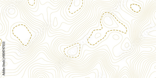 Topographic map background. Geographic line map with elevation assignments. Contour background geographic grid. Vector illustration.