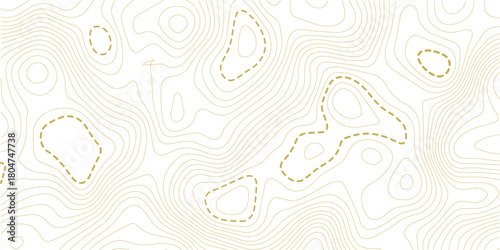 Topographic map background. Geographic line map with elevation assignments. Contour background geographic grid. Vector illustration.