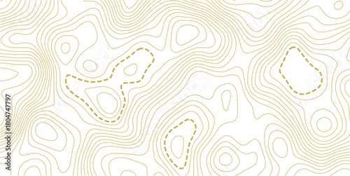 Topographic map background. Geographic line map with elevation assignments. Contour background geographic grid. Vector illustration.