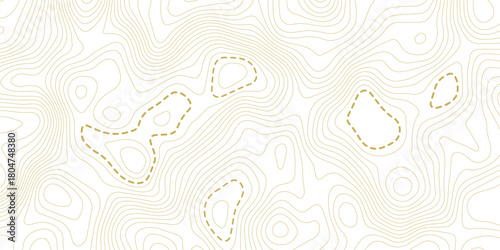 Topographic map background. Geographic line map with elevation assignments. Contour background geographic grid. Vector illustration.