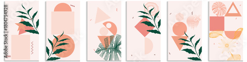Organic botanical and simple line shapes layout set . Six contemporary social media story templates collection, perfect for spa, wellness, beauty small business. Vector illustration