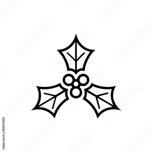 Illustration of a christmas holly with berries and leaves on transparent background