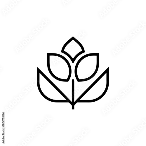 Stylized outline of a flower with three petals and leaves on transparent background