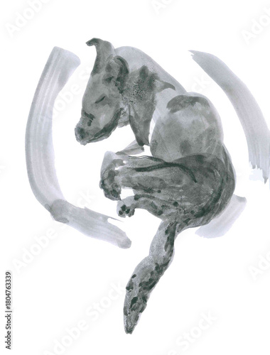 Animalistic portrait. Abstract art in gray tones. Mystic symbolism. Hand drawn ink illustration. Slow life vibe. Cute sleeping dog curled up. Pet in life. Creative tattoo with homy. Isolated image.