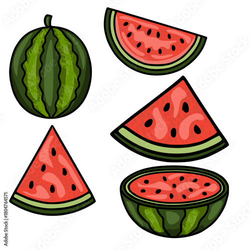 Vibrant vector illustrations of a whole watermelon and its slices, showcasing juicy red flesh and green rind with bold outlines.