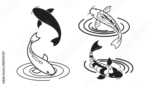 Koi fish vector illustration oriental japanese style design