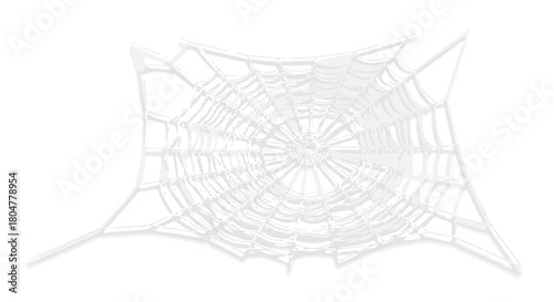 Delicate white spiderweb isolated on a white background casting a soft shadow