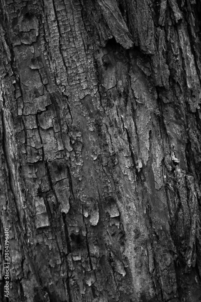 Fototapeta premium Graphic for design. wood texture, dark wooden abstract background