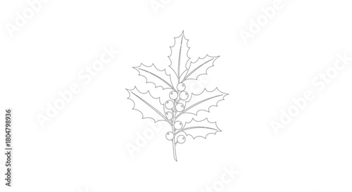 Poplar Leaf Botanical Nature Outline vector illusration