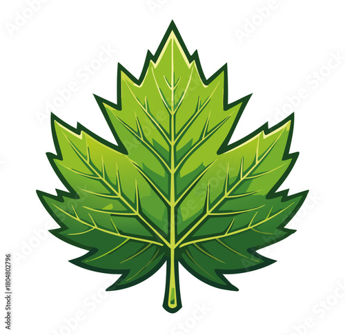 green leaf vector illustration