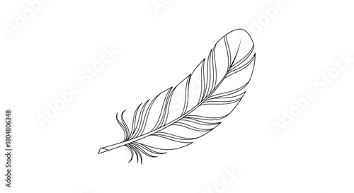 Simple black and white outline drawing of a single feather on a white background.