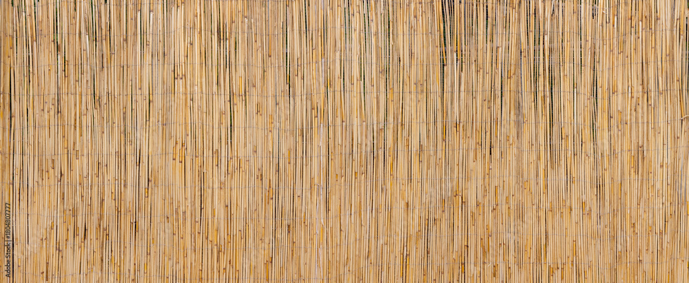 custom made wallpaper toronto digitalBeautiful reed wall in poster size.