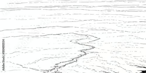 Abstract white background with gray lines and a winding crack texture effect.