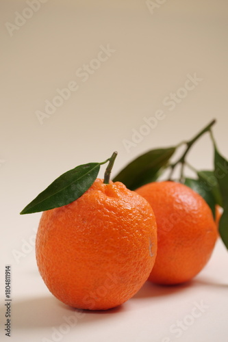 Wallpaper Mural Mandarino i in primo piano , spazio per testo Torontodigital.ca