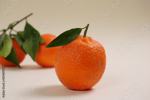 Wallpaper Mural Primo piano di clementiana con foglia, spazio per testo Torontodigital.ca